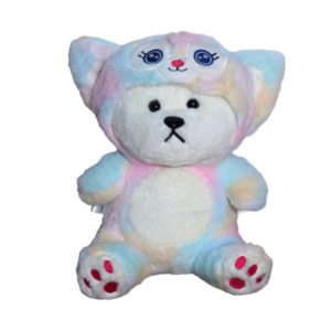 Hooded Teddy Rainbow