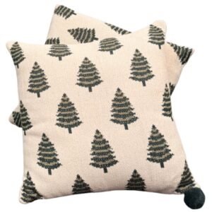 Frosty’s Corner Cushion Set of 2